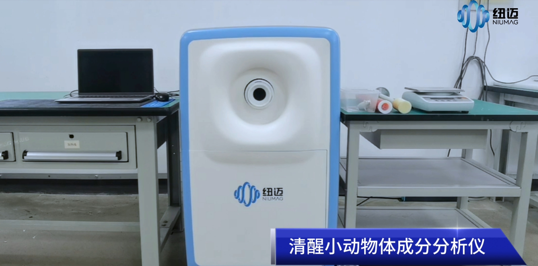 清醒小动物体成分分析仪仪器操作流程