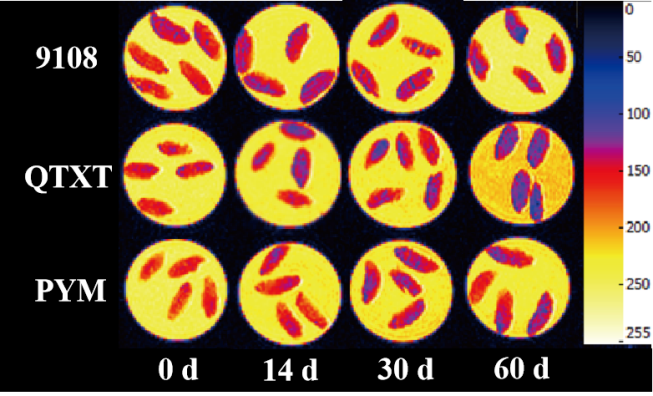 “华体会官方网页版杯”江南大学优秀案例解析|不同冷冻储藏期速冻米饭水分分布变化规律探究